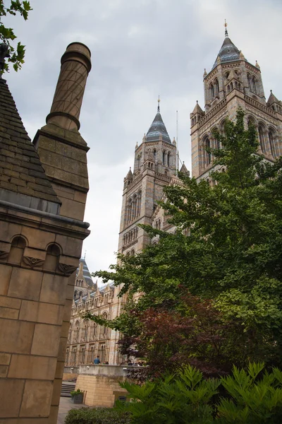 LONDON, UK - AUGUST 11, 2014: National History Museum, is one of the most favourite museum for families in London. — Stock Photo, Image