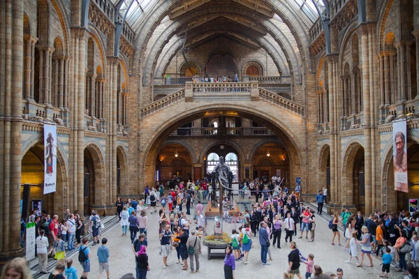 LONDON, UK - AUGUST 11, 2014: National History Museum, is one of the most favourite museum for families in London. — Stock Photo, Image