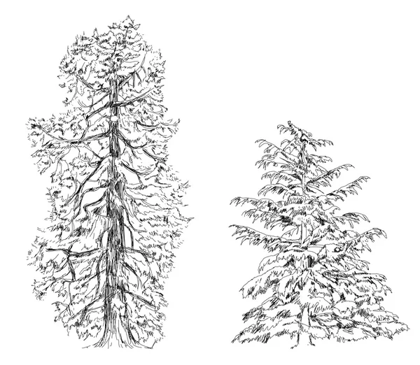 Trees, Oak, birch, fir, pine.Sketch collection — Stock Photo, Image