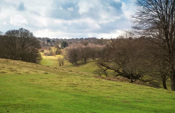 Paesaggio inglese, foresta e campi in primavera. Sussex — Foto Stock