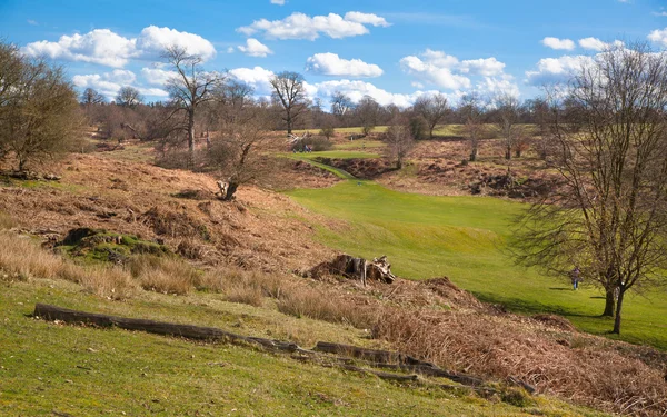 English landscape, forest and fields in spring. Sussex — Stock Photo, Image