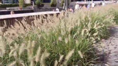 Londra, İngiltere - 7 Ekim 2025: Thames Quay yürüyüşü, Canary Wharf yakınlarındaki yeni yerleşim alanı ve güneşli bir günde deniz kenarında dinlenen insanlar