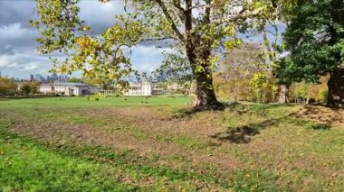 Londra, İngiltere - 22 Ekim 2025: Greenwich 'teki sonbahar parkı, bir çok insan İngiliz doğasının tadını çıkarıyor