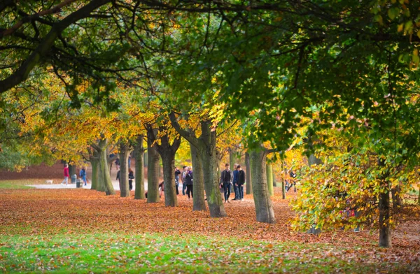 Autumn in London park, people and families walking and enjoying the weather — Stock Photo, Image