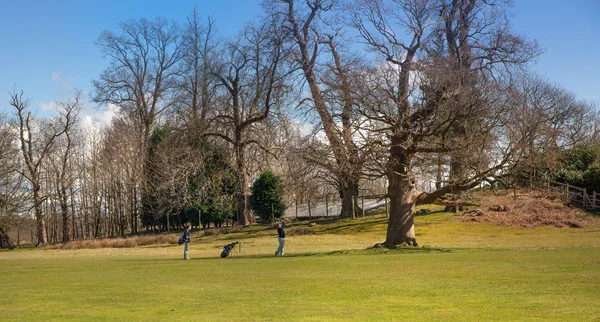 La nature anglaise. Parc dans le Sussex printemps — Photo