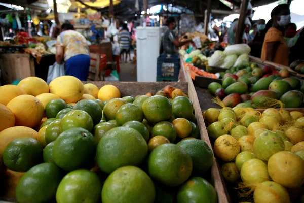 Mata Sao Joao Bahia Brazil October 2020 People Buying Fruits — 스톡 사진