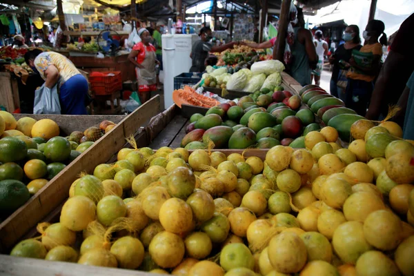Mata Sao Joao Bahia Brazil October 2020 People Buying Fruits — 스톡 사진