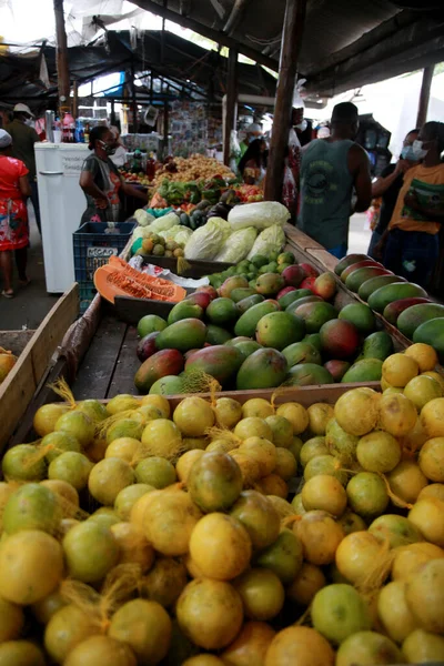 Mata Sao Joao Bahia Brasil Octubre 2020 Personas Comprando Frutas — Foto de Stock