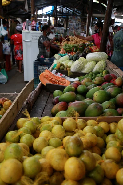 Mata São João Bahia Brasil Outubro 2020 Pessoas Comprando Frutas — Fotografia de Stock