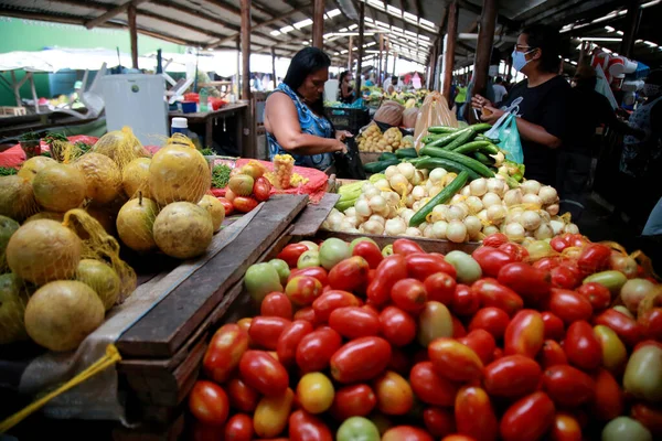 Mata Sao Joao Bahia Brazil October 2020 People Seen Open — Stock Photo, Image