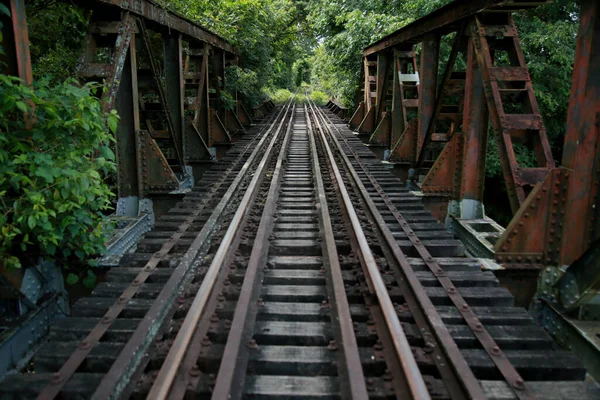 Mata Sao Joao Bahia Brésil Novembre 2020 Pont Ferroviaire Dans — Photo