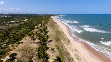 mata de sao joao, bahia / brazil - october 2, 2020: aerial view of Santo Antonio beach, coast of Mata de Sao Joao municipality clipart