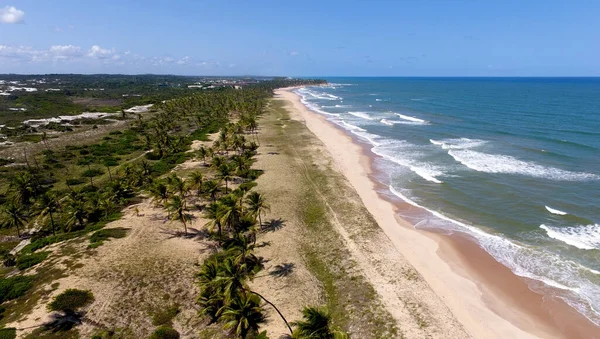Mata Sao Joao Bahia Brasil Octubre 2020 Vista Aérea Playa — Foto de Stock