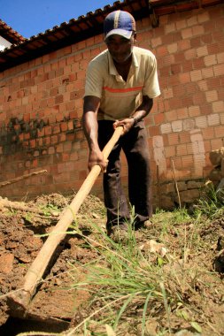guaratinga, bahia, brezil- 7 Mayıs 2009: işçiler Güney Bahia 'nın Guaratinga kentinin kırsal bölgesinde çapa kullanarak toprak kazıyor..