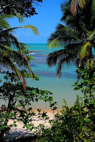 Porto Seguro Bahia Brasil Junho 2007 Coqueiros São Vistos Praia — Fotografia de Stock