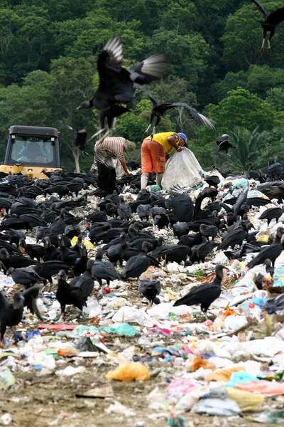 Itabuna Bahia Brasil Fevereiro 2012 São Vistas Pessoas Cavando Lixo — Fotografia de Stock