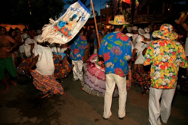 Caravelas Bahia Brazil February 2009 Traditional Folkloric Group Seen Carnival — стоковое фото