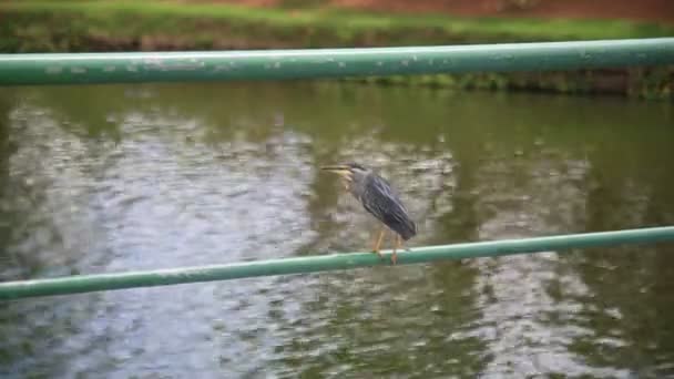 Salvador Bahia Brasilien Dezember 2020 Blick Auf Das Wasser Des — Stockvideo