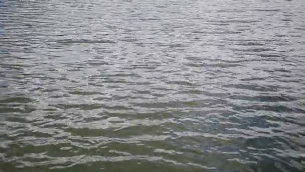 Salvador Bahia Brazylia Grudnia 2020 Widok Wody Dique Tororo Mieście — Wideo stockowe