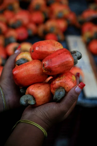 Salvador Bahia Brasil Diciembre 2020 Anacardo Venta Mercado Frutas Calle — Foto de Stock