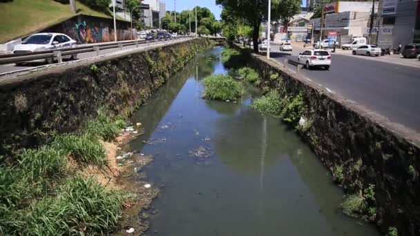 Salvador Bahia Brazil December 2020 Open Sewage Channel Seen Lucaia — Stock Video