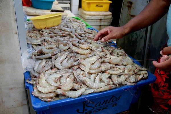 Salvador Bahia Brazil Desember 2020 Nelayan Memegang Ikan Pelabuhan Kapal — Stok Foto