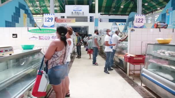 Salvador Bahia Brésil Décembre 2020 Poisson Frais Vendre Marché Populaire — Video