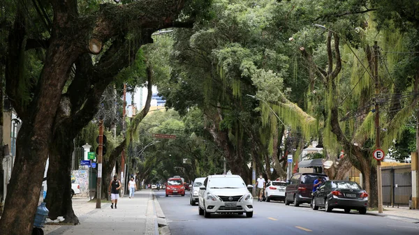 Salvador Bahia Brasil Dezembro 2020 Veículos São Vistos Uma Rua — Fotografia de Stock