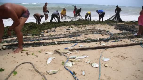 Salvador Bahia Brésil Décembre 2020 Des Pêcheurs Sont Vus Lors — Video