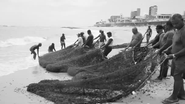 Salvador Bahia Brazylia Grudnia 2020 Rybacy Widziani Podczas Połowów Włokiem — Wideo stockowe