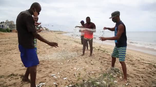 Salvador Bahia Brazil December 2020 Fishermen Seen Collecting Sardine Fish — стоковое видео