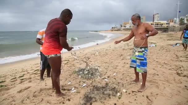 Salvador Bahia Brazil December 2020 Fiskare Ses Samla Sardinfisken Ett — Stockvideo