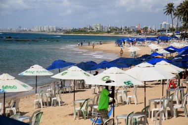 Salvador, Bahia, Brezilya - 21 Aralık 2020: Mantar meşeleri Salvador şehrindeki Itapua plajında silahlı olarak görüldü. * * * Yerel altyazı * *