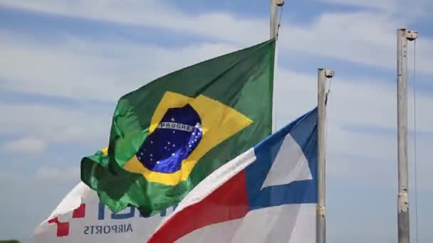 Salvador Bahia Brazílie Prosince 2020 Vlajka Brazílie Státu Bahia Jsou — Stock video