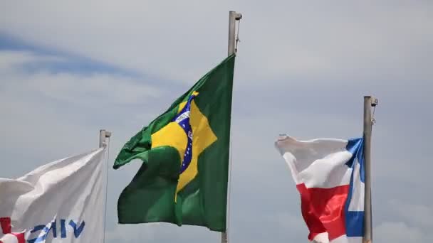 Salvador Bahia Brazílie Prosince 2020 Vlajka Brazílie Státu Bahia Jsou — Stock video