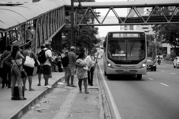 Salvador Bahia Brazil December 2020 Public Transport Bus Seen City — стоковое фото