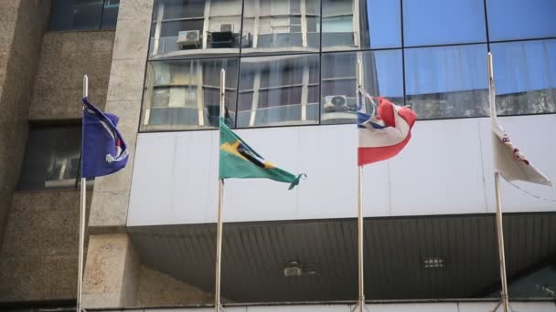 Salvador Bahia Brasil Dezembro 2020 Bandeira Brasil Vista Mastro Rodoviária — Vídeo de Stock