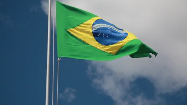 Salvador Bahia Brazil December 2020 Flag Brazil Seen Mast Bus — Stock Video