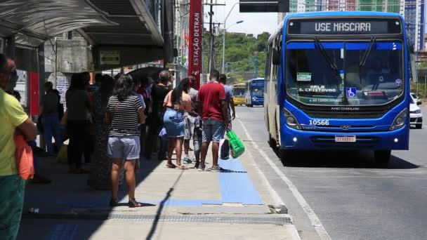 Salvador Bahia Brazil December 2020 People Seen Collective Bus Stop — Stock Video