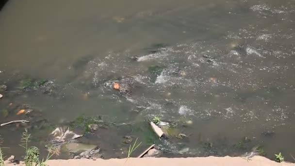 萨尔瓦多 巴伊亚州 巴伊亚州 2020年12月30日 卡穆鲁吉佩河上的污水道在萨尔瓦多市被发现 — 图库视频影像