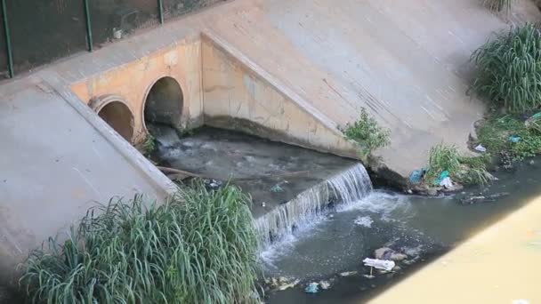 Salvador Bahia Brasil Dezembro 2020 Tubulação Esgoto Jorrada Canal Esgoto — Vídeo de Stock