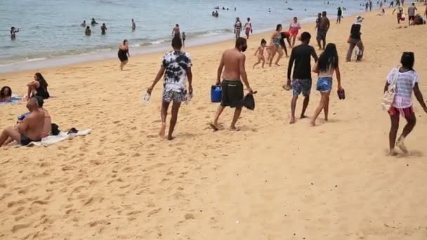 Salvador Bahia Brasile Gennaio 2021 Vedono Persone Sulla Sabbia Della — Video Stock