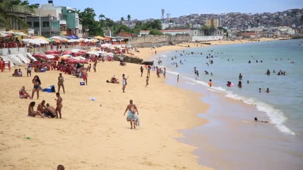 Salvador Bahia Brazil Januari 2021 Människor Ses Stranden Boa Viagem — Stockvideo