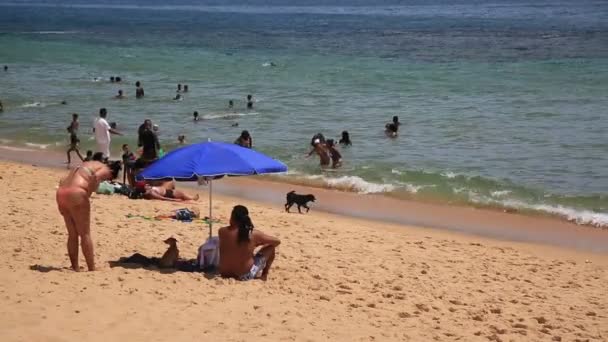 Salvador Bahia Brasil Enero 2021 Gente Arena Playa Boa Viagem — Vídeo de stock