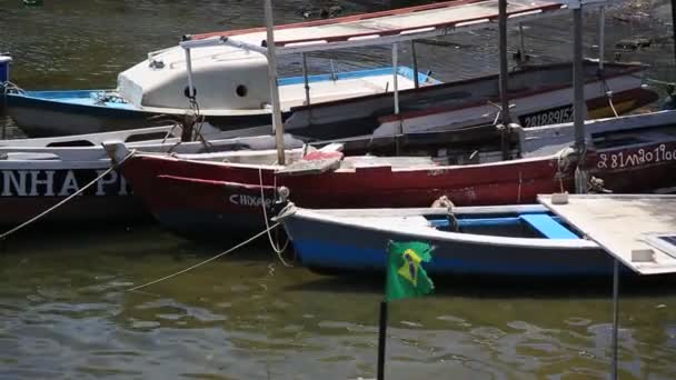 Salvador Bahia Brasil Janeiro 2021 Barcos São Vistos Uma Marina — Vídeo de Stock