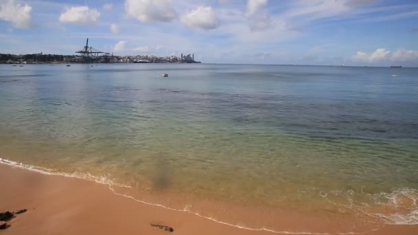 Salvador Bahia Brazil Januari 2021 Utsikt Över Stranden Canta Galo — Stockvideo