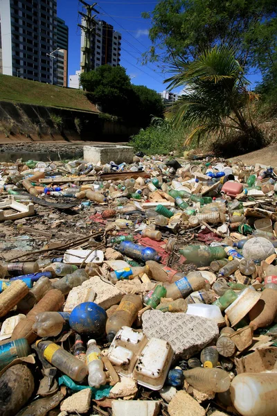 Salvador Bahia Brasilien Januar 2021 Müll Und Tierflaschen Werden Einem — Stockfoto