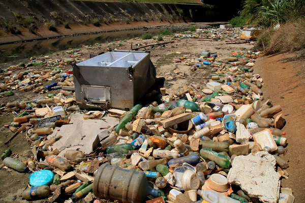 Salvador Bahia Brasil Enero 2021 Ven Botellas Basura Mascotas Acumuladas —  Fotos de Stock