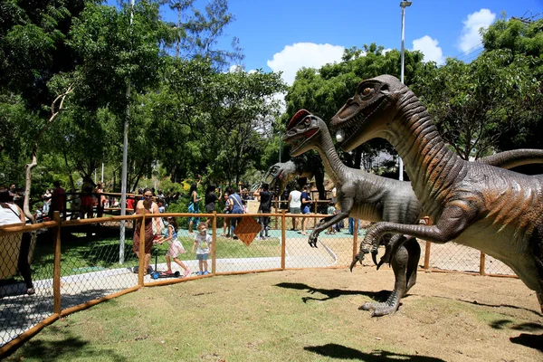 Salvador Bahia Brazil Ianuarie 2021 Oamenii Sunt Văzuți Timpul Unei — Fotografie, imagine de stoc