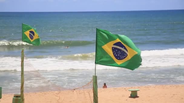 Salvador Bahia Brasil Enero 2021 Bandera Brrazil Mástil Playa Armacao — Vídeo de stock